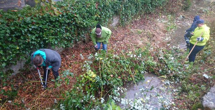 Naturschutztag 2019 in Rümlingen