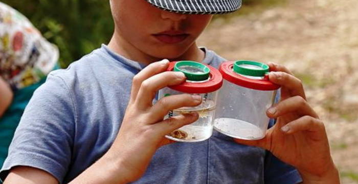 Mit dem Experten Dieter Thommen suchten wir einen Nachmittag in der Liesberger Kiesgrube nach verschiedenen Heuschrecken. Eine Ausstellung der gefundenen Heuschrecken und Beschreibungen des Experten rundeten den Nachmittag wundervoll ab.