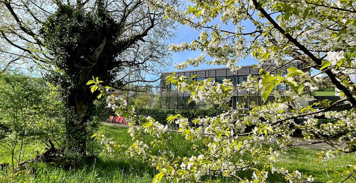 Naturnaher Garten des Gymnasiums Liestal