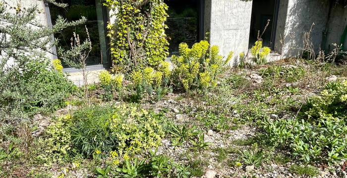 Naturnaher Garten des Gymnasiums Liestal