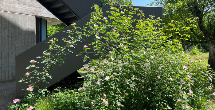 Naturnaher Garten des Gymnasiums Liestal