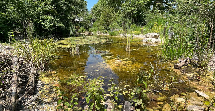 Naturnaher Garten des Gymnasiums Liestal