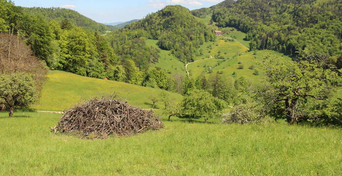 Bergmatte Reigoldswil