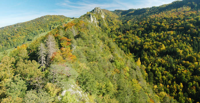 Rehhag von der Ruine Waldenburg aus