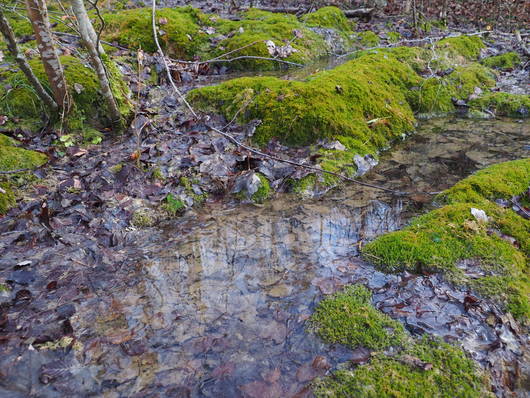 Kalksinter-Fliessquelle