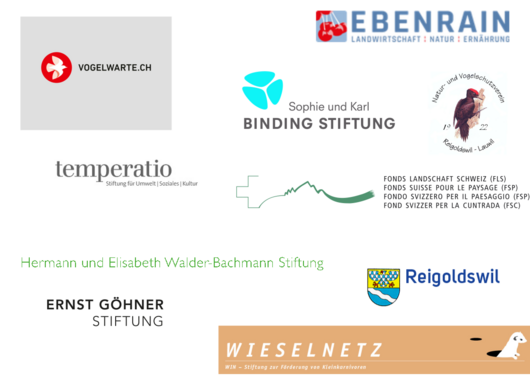 Kooperation und finanzielle Unterstützung Bergmatte