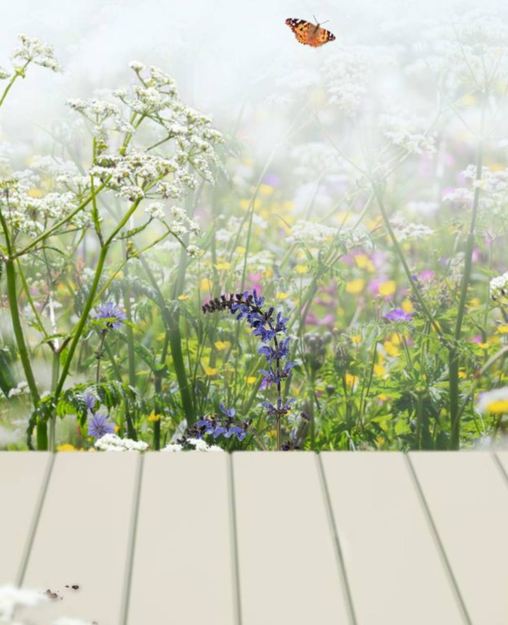 Wildpflanzen- und Kräutermärkte 2023