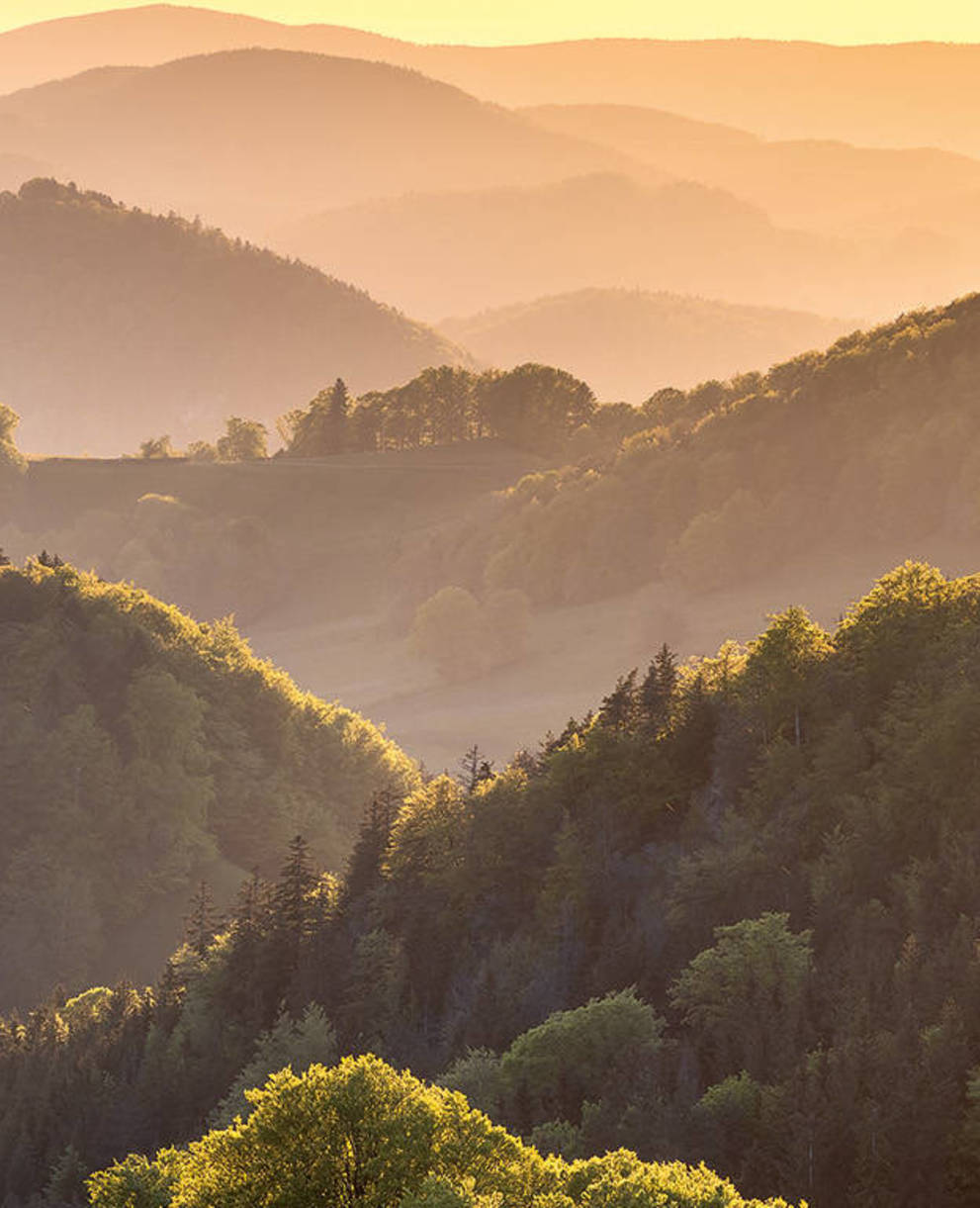 Pro Natura Baselland Naturkalender 2024 (Foto: Martin Mägli)