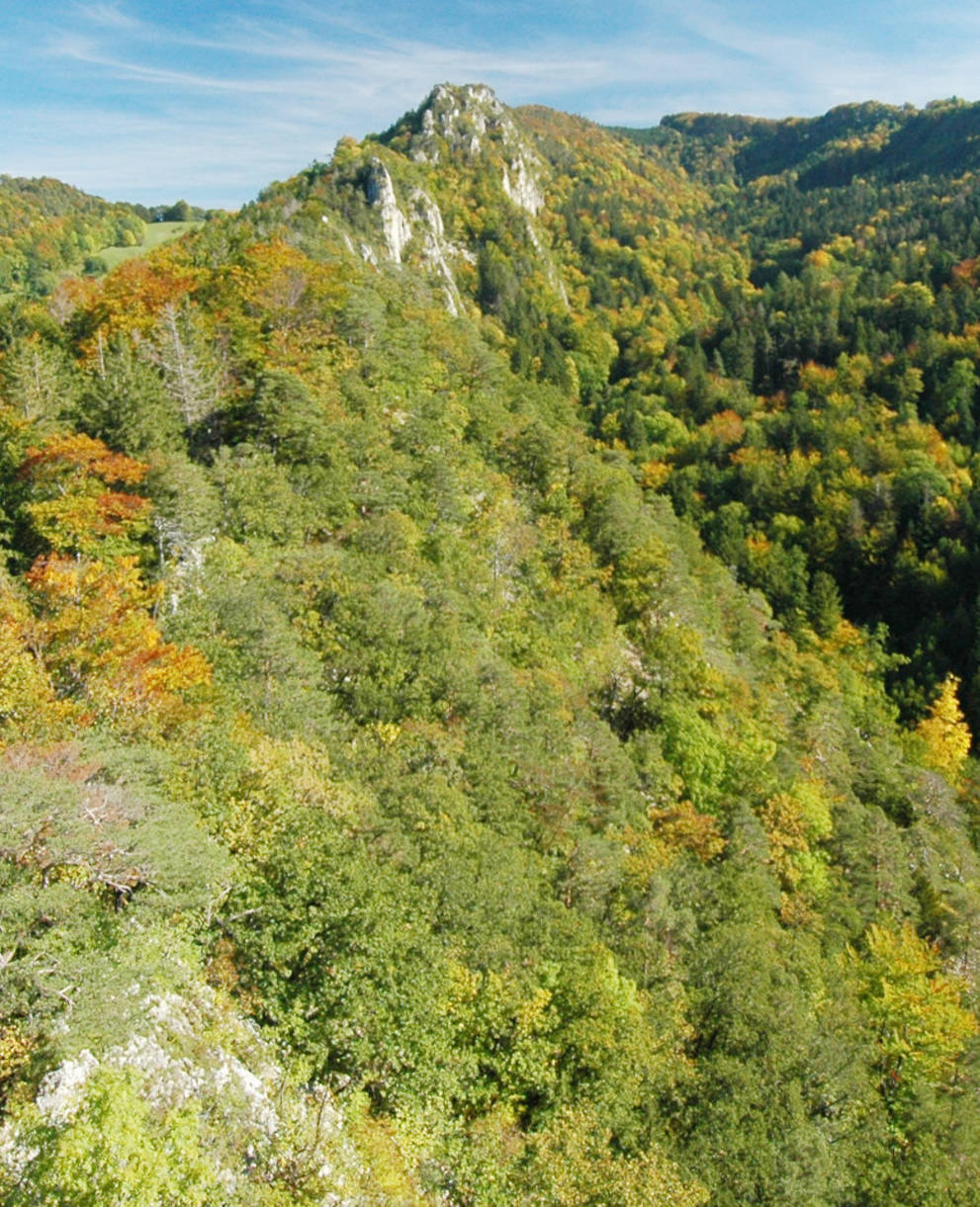Rehhag von der Ruine Waldenburg aus