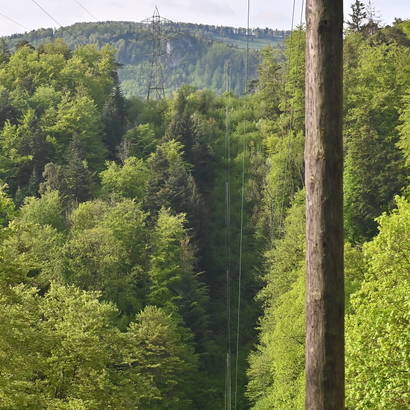 Strommtrasse Birgel